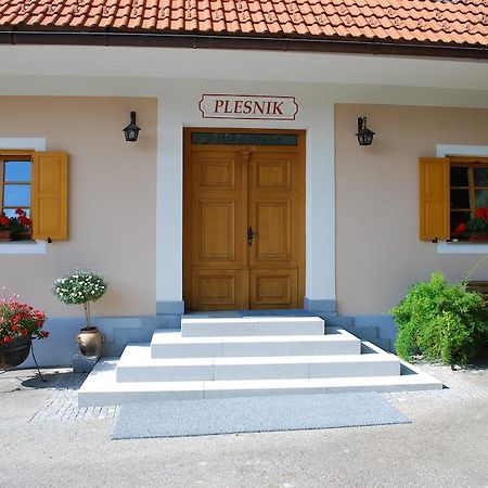 Farm Stay Rotovnik - Plesnik Словень Градець Екстер'єр фото
