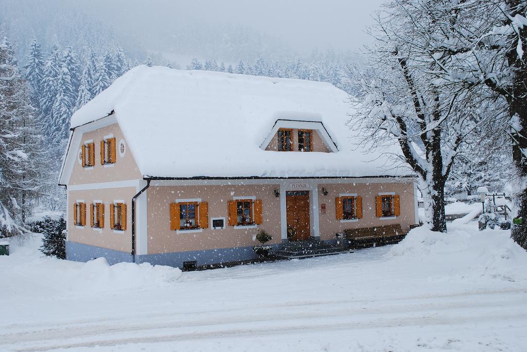 Farm Stay Rotovnik - Plesnik Словень Градець Екстер'єр фото