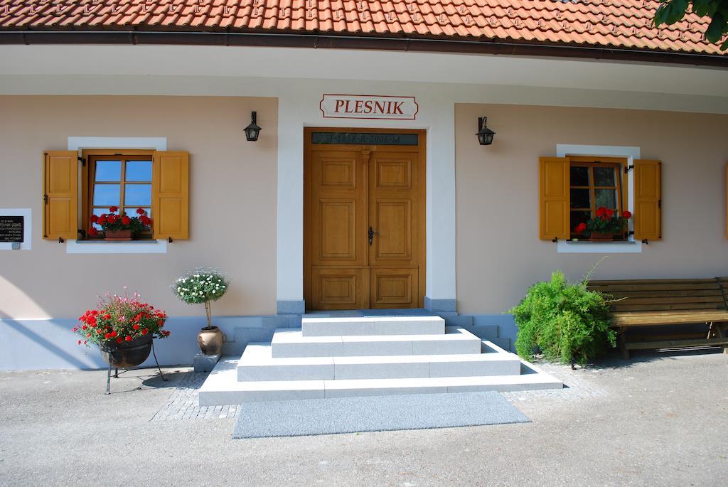Farm Stay Rotovnik - Plesnik Словень Градець Екстер'єр фото